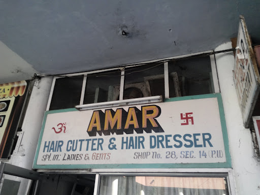 HAIR image