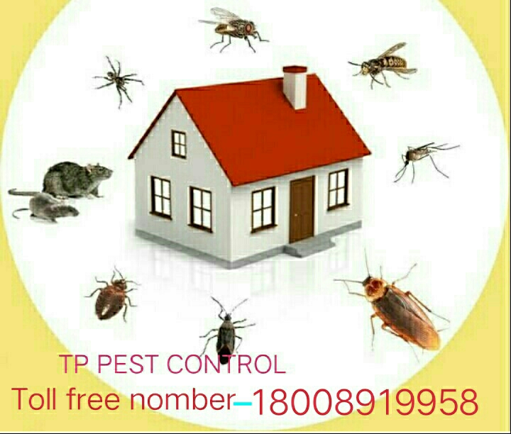 Residential Pest Control of T.P. Pest Control