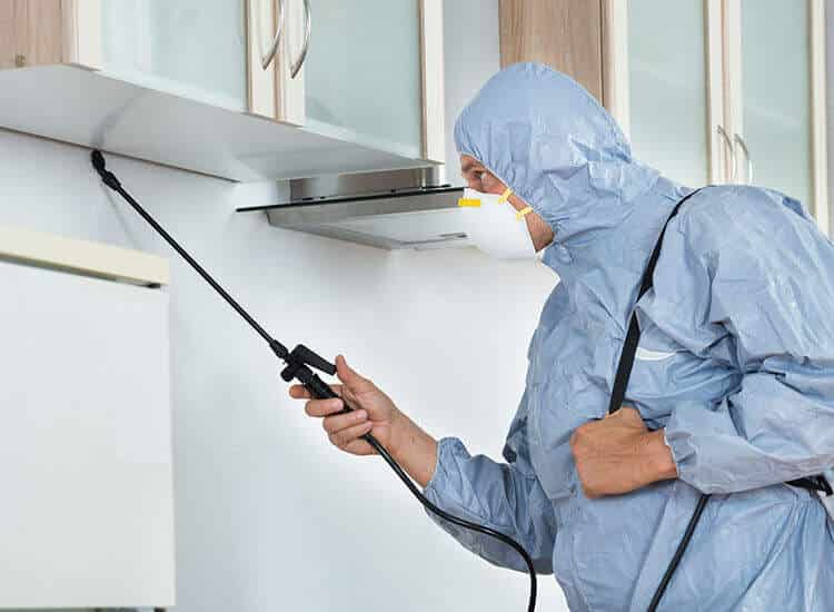 On-site Treatment of Pest Control and Cleaning Services Kerala