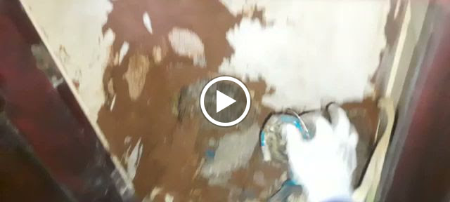 On-site Treatment of Pest Control and Cleaning Services Kerala