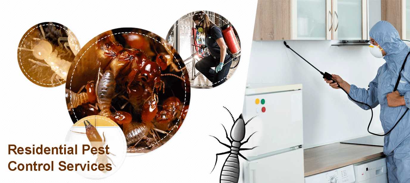 Residential Pest Control of Pest Control and Cleaning Services Kerala