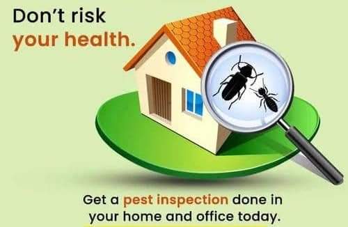 Residential Pest Control of Pest Control and Cleaning Services Kerala