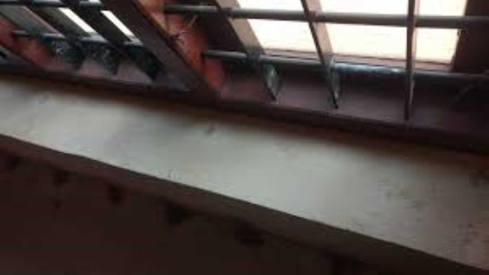 Before & After Comparison of Pest Control and Cleaning Services Kerala
