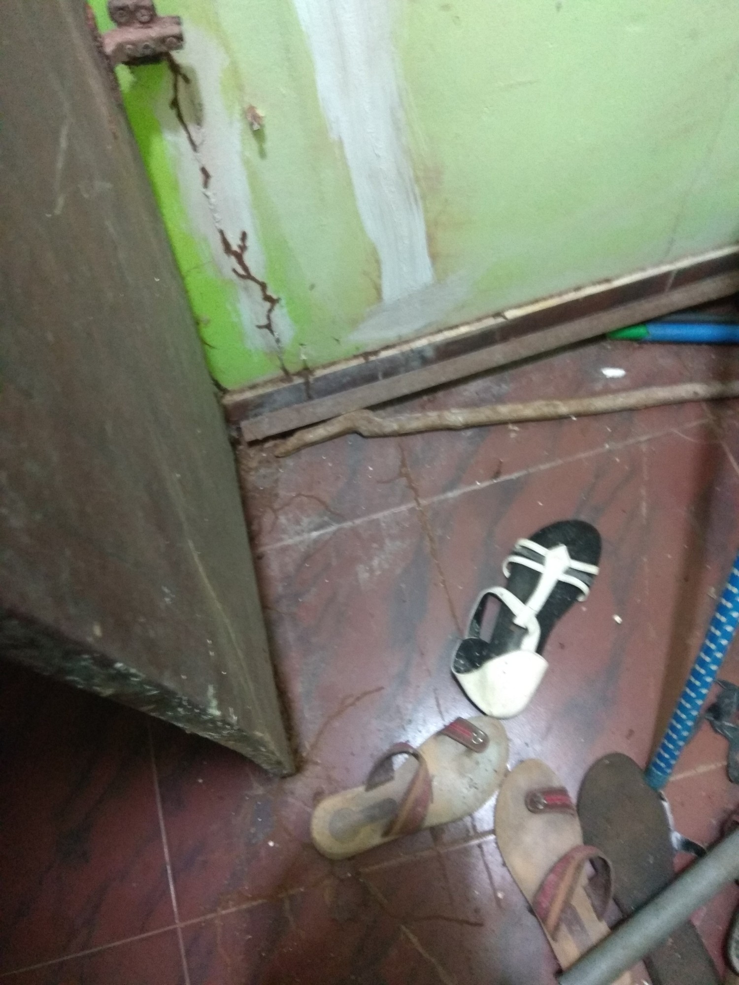 Rodent Control of Pest Control and Cleaning Services Kerala