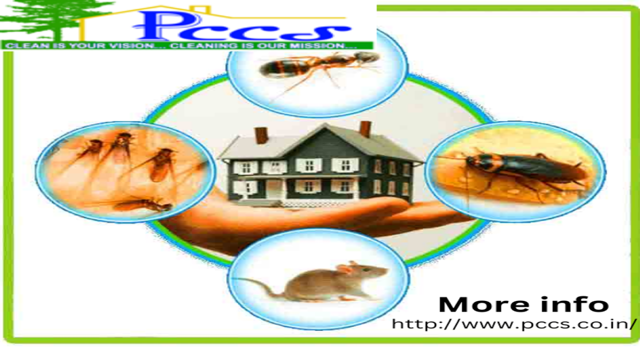 Banner image of Pest Control and Cleaning Services Kerala