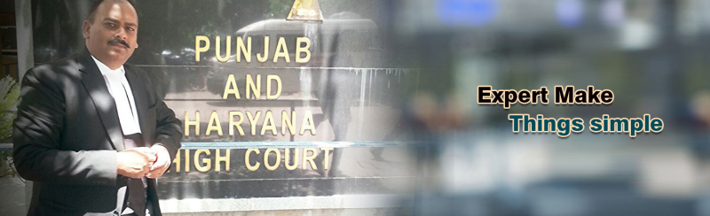 Courtroom Advocacy of Jitender Malik Advocate