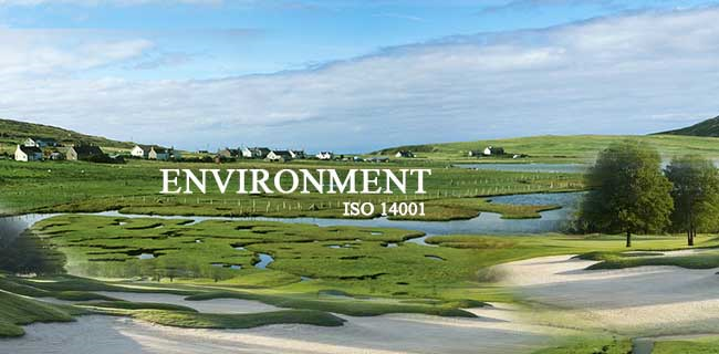 environment of Zero Defect Consultants