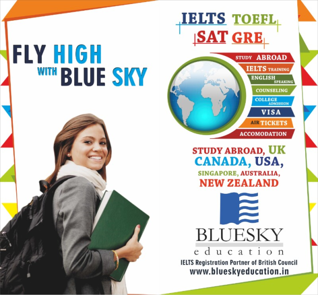 Tutor Teaching Classes of Blue Sky Educational Services Pvt. Ltd.