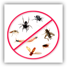 Pest Control Equipment of Unique pest control