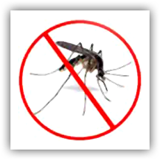 Fogging Operation of Unique pest control