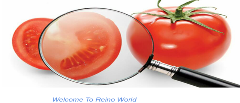 food of Reino Group