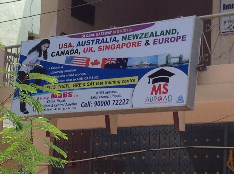 Visa Experts of MS Abroad
