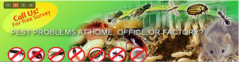Client Testimonials of Pradhan Pest Control India