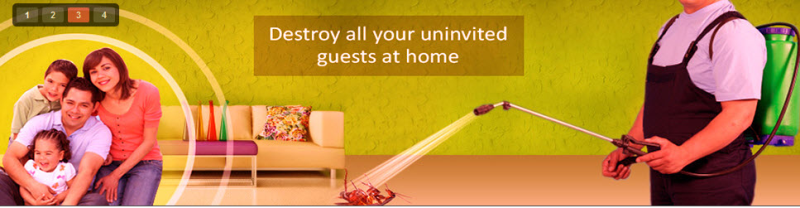 Residential Pest Control of Pradhan Pest Control India