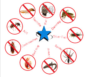 Pest Control Equipment of Pradhan Pest Control India