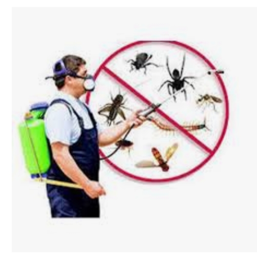 Technicians at Work of Pradhan Pest Control India