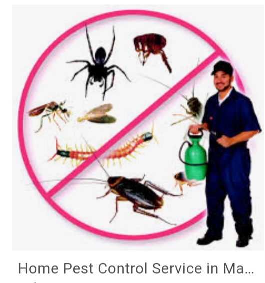 Technicians at Work of Pradhan Pest Control India