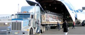 Logistics of CHENNAI SHIPPING INDIA