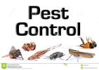 Pest Control Equipment of Suraksha Pest Control And Sanitizing Service