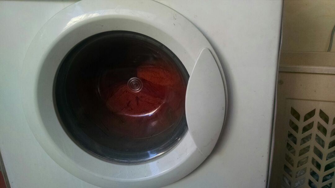 Washing Machine Disassembly of Wash Care Services