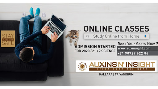 Online Classes of Auxins N' Insight Academy