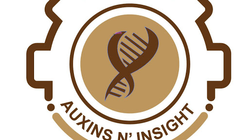 Other of Auxins N' Insight Academy