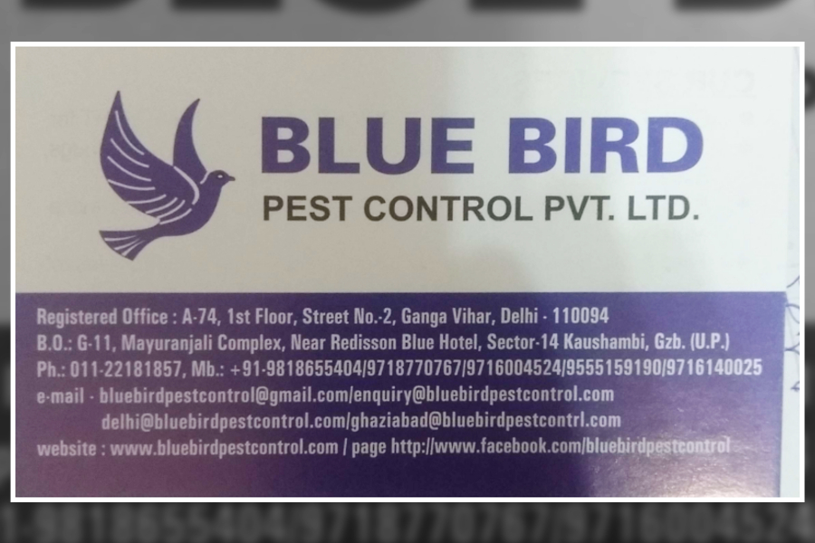Client Testimonials of Blue Bird Pest Control Pvt. Ltd.