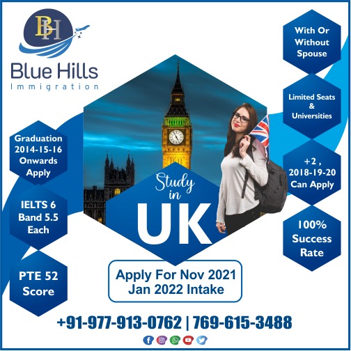 Counselors – Expert Guidance for Abroad Dreams of Blue Hills Immigration