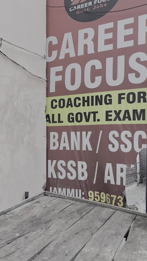Other of Career Focus