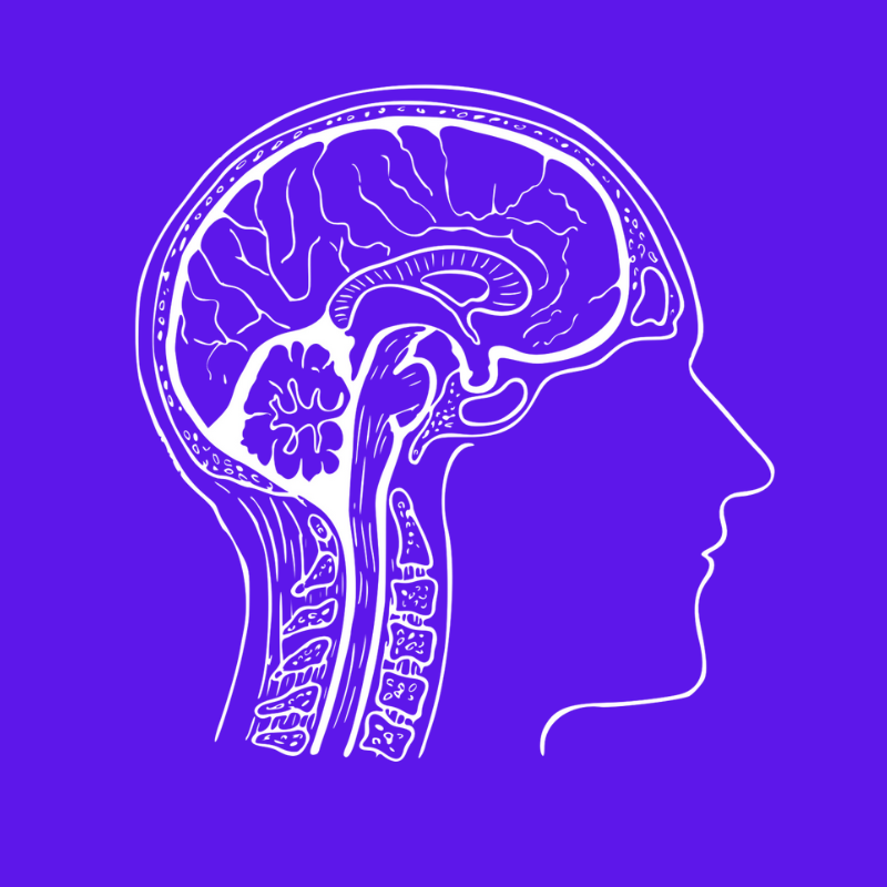 Cerebrum Biology Academy (Gurugram) image