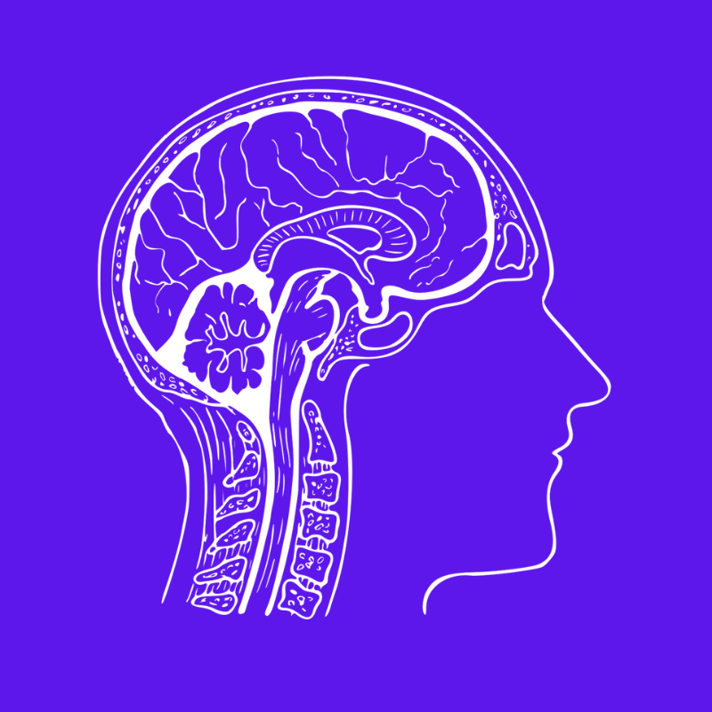 Cerebrum Biology Academy (Rohini) image