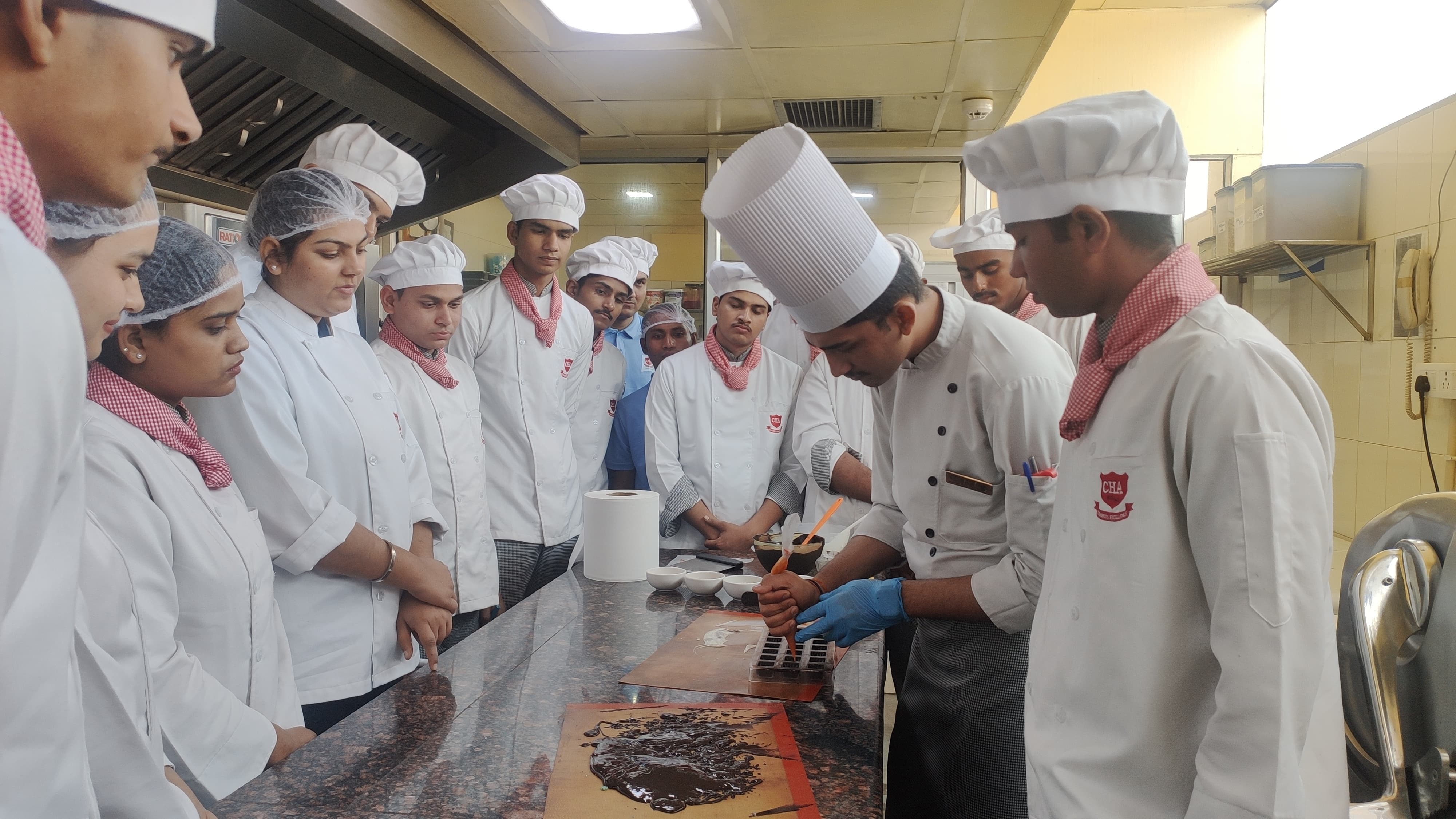 College of Hospitality Administration (CHA) Jaipur image