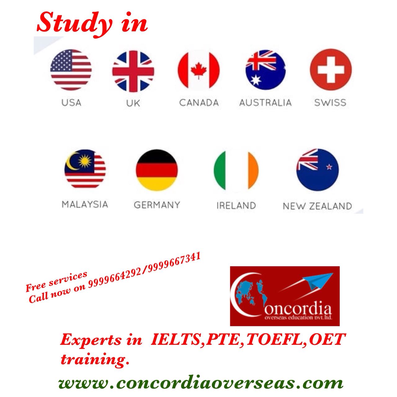 Tutor Teaching Classes of Concordia Overseas Education Pvt. Ltd.