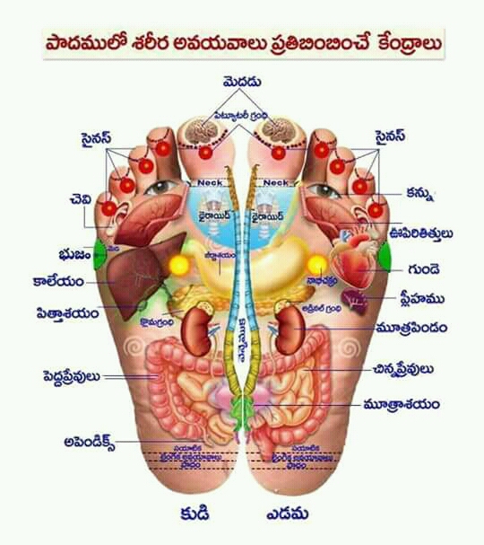 Devi Old Age Home And Home Care Services image