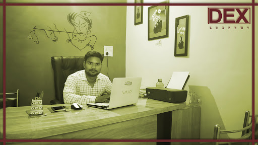 Reception of Dex Academy