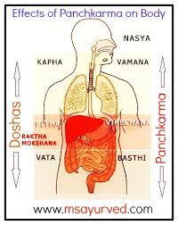 None of the provided tags are relevant of Dji Ayurveda & Panchkarma Hospital
