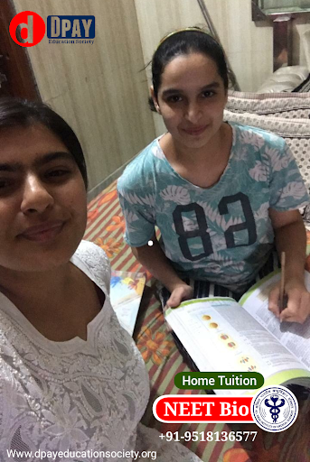 One-on-one Tutoring of Dpay Home Tuition Service
