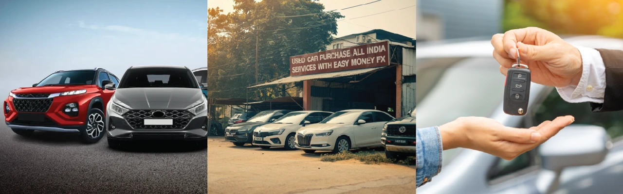 Banner image of Easy Money FX