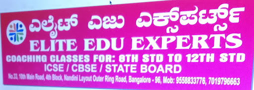 Tutor Teaching Classes of Elite Edu Experts 