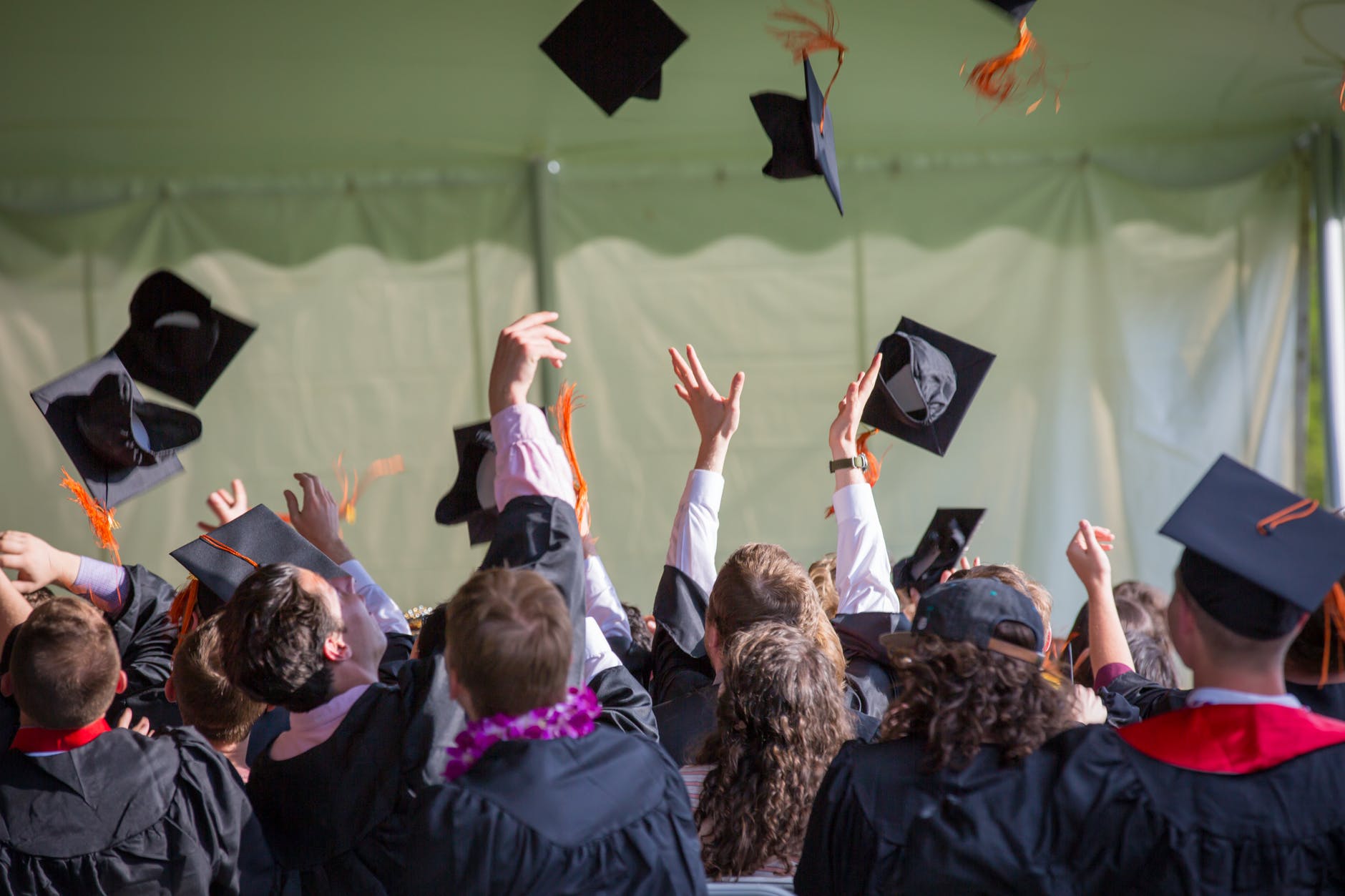 University Admit Letters – Your Offer Letter Moment of Enrol Abroad