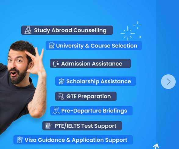 Counselors of Expert Education and Visa Services