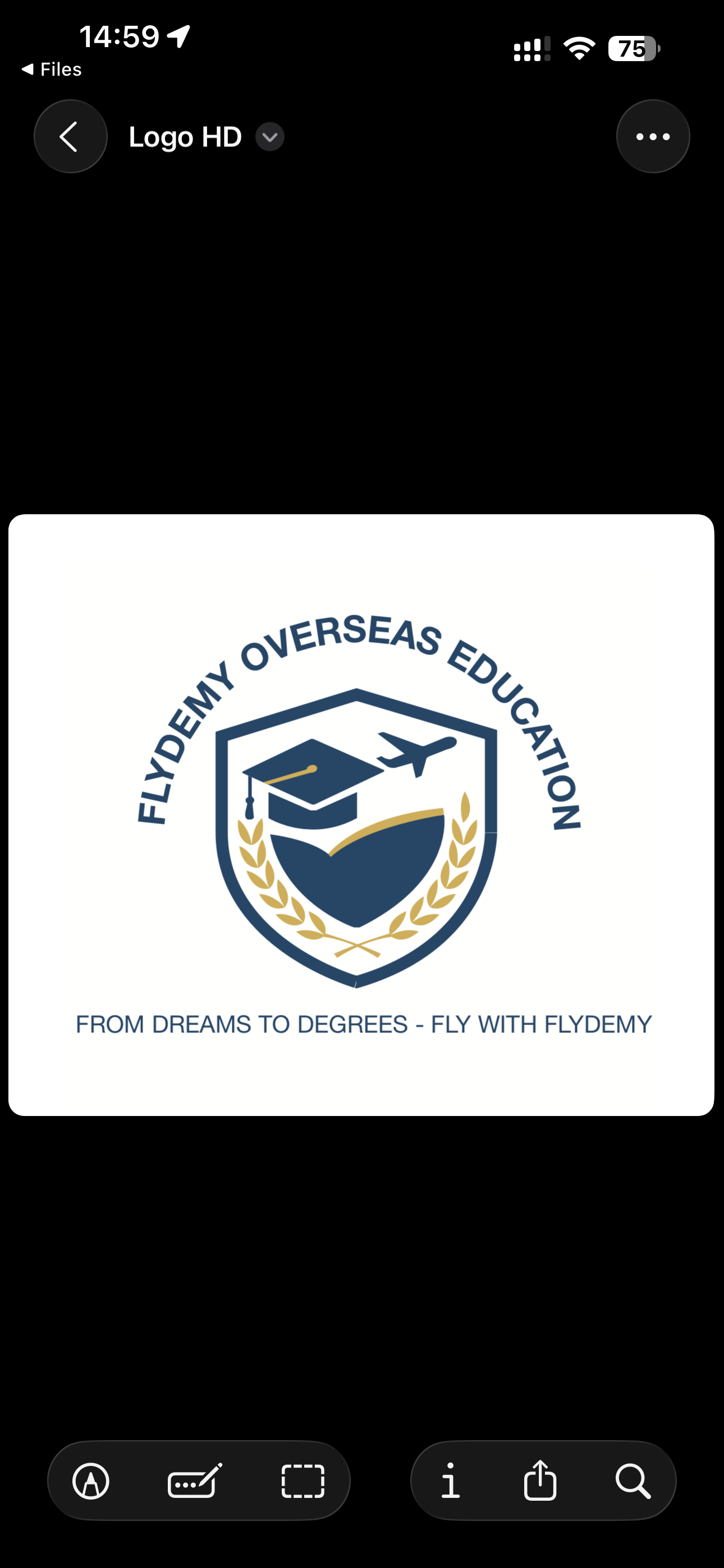 Flydemy overseas education