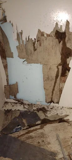 Termite Treatment of Galaxy Pest Management Services