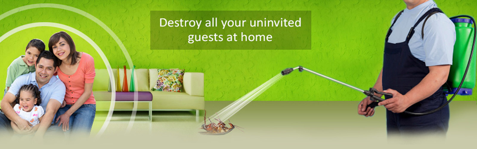 Other of Anusaya Pest Control service - Best Pest Control Service