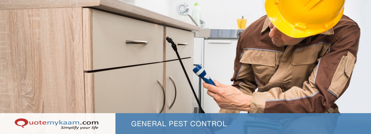 pest control of Anusaya Pest Control service - Best Pest Control Service