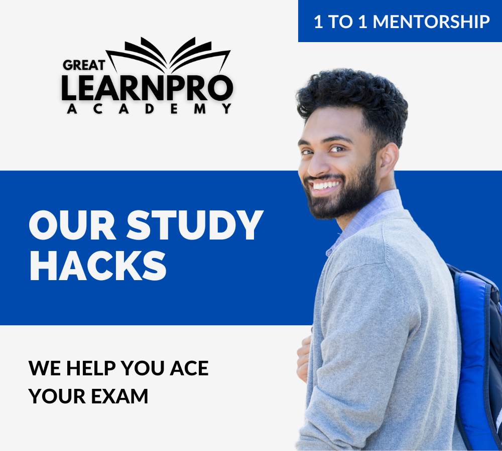 One-on-One Coaching of Great Learnpro Academy Private Limited