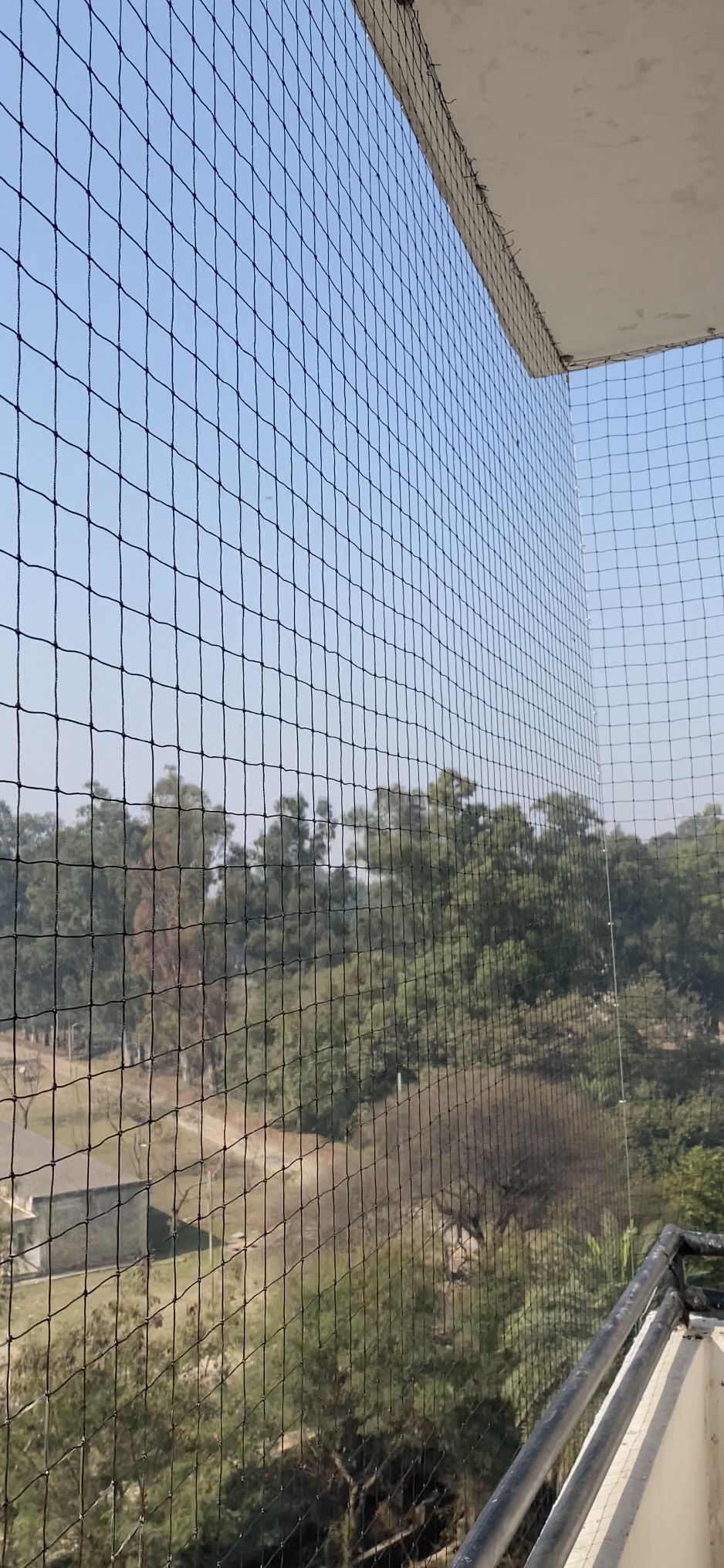 Bird Netting Installation of Gurpreet Singh   Net Services