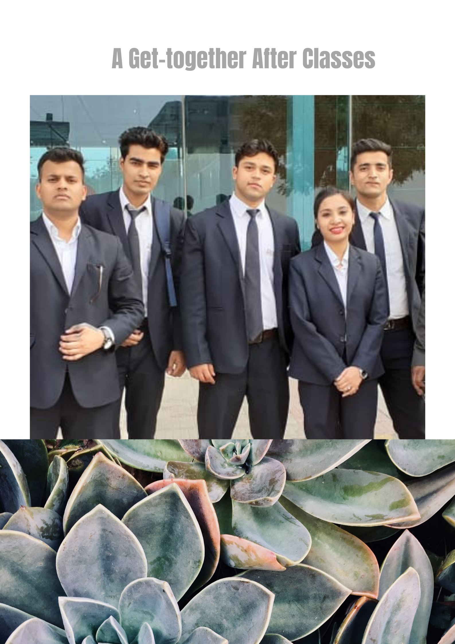 Herbarium Institute Of International Hotel Studies image