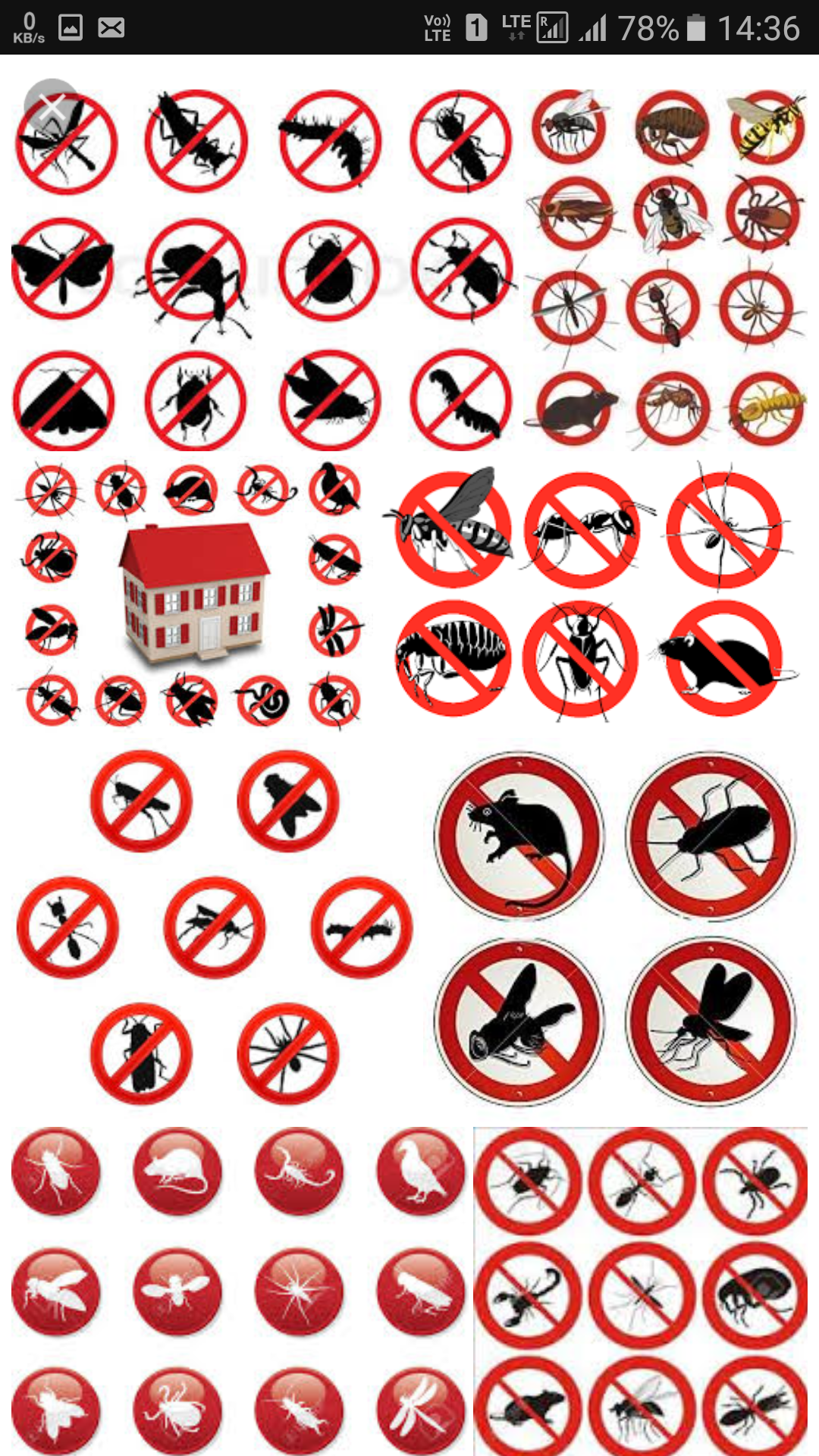 Other of Hindustan Pest Control