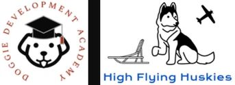 Tutors of DD Academy